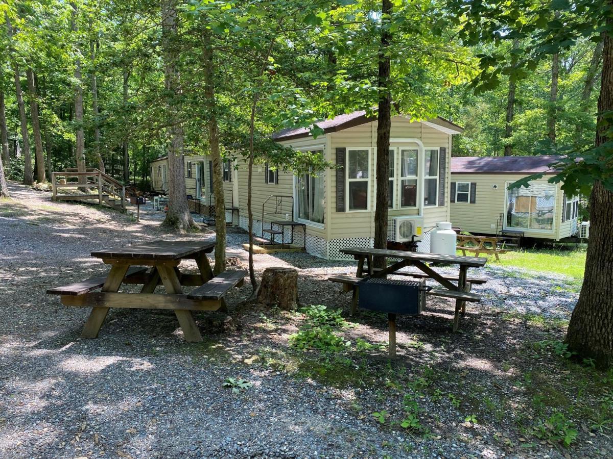 The Vintage Rv'S At Wilderness Presidential Camp Resort By Tripforth Spotsylvania Екстериор снимка