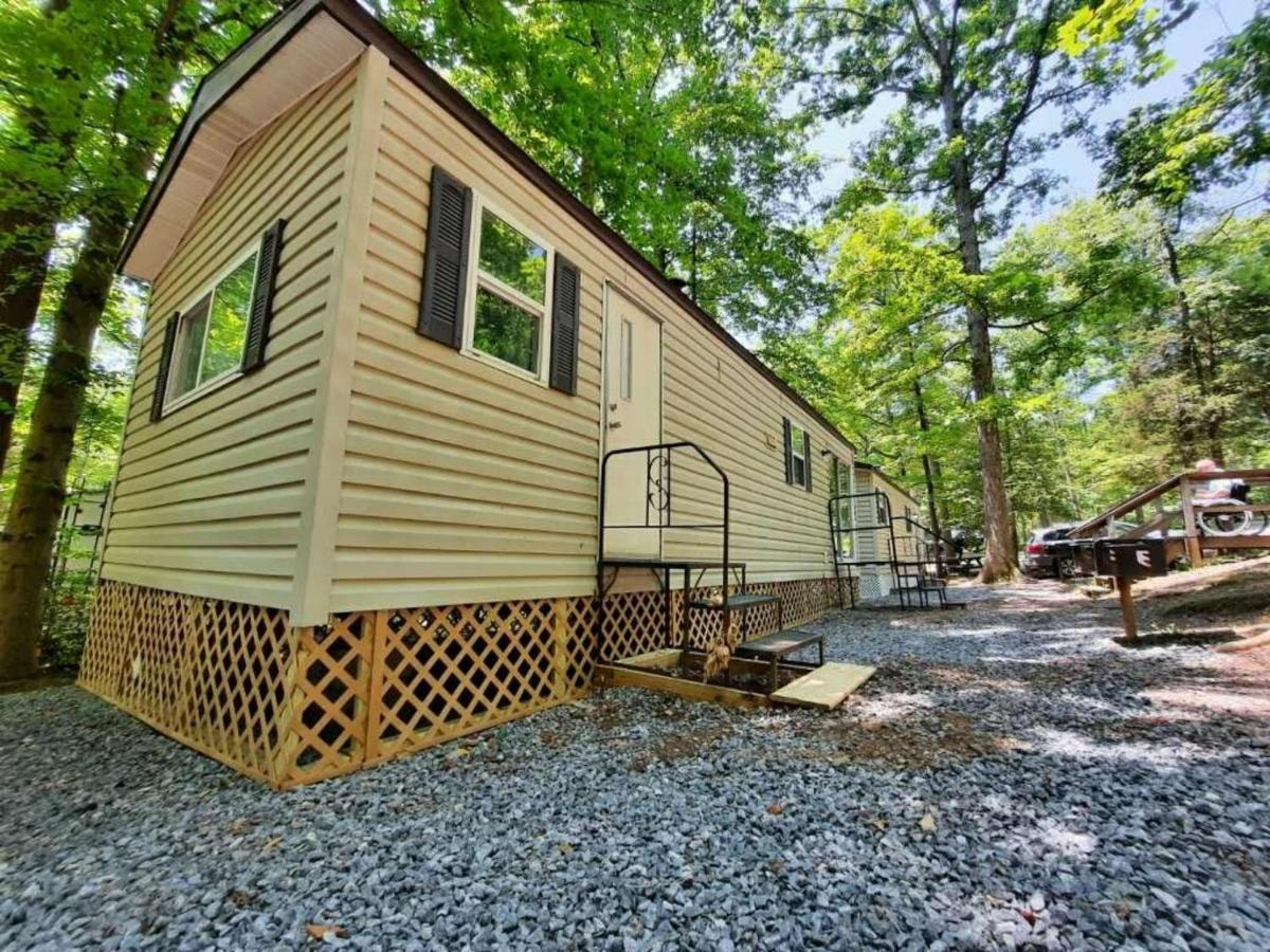 The Vintage Rv'S At Wilderness Presidential Camp Resort By Tripforth Spotsylvania Екстериор снимка